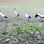 Marina Ii - Widok W Ostrodzie 아파트