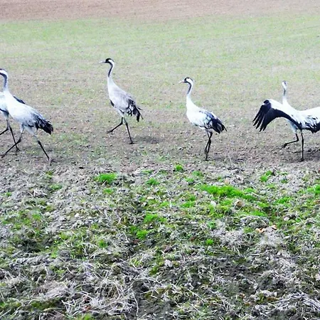 Marina Ii - Widok W Ostrodzie شقة